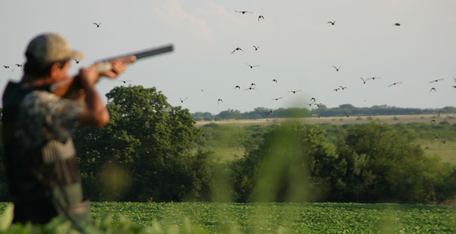 los-ombues-best-dove-hunting-lodge-argentina2