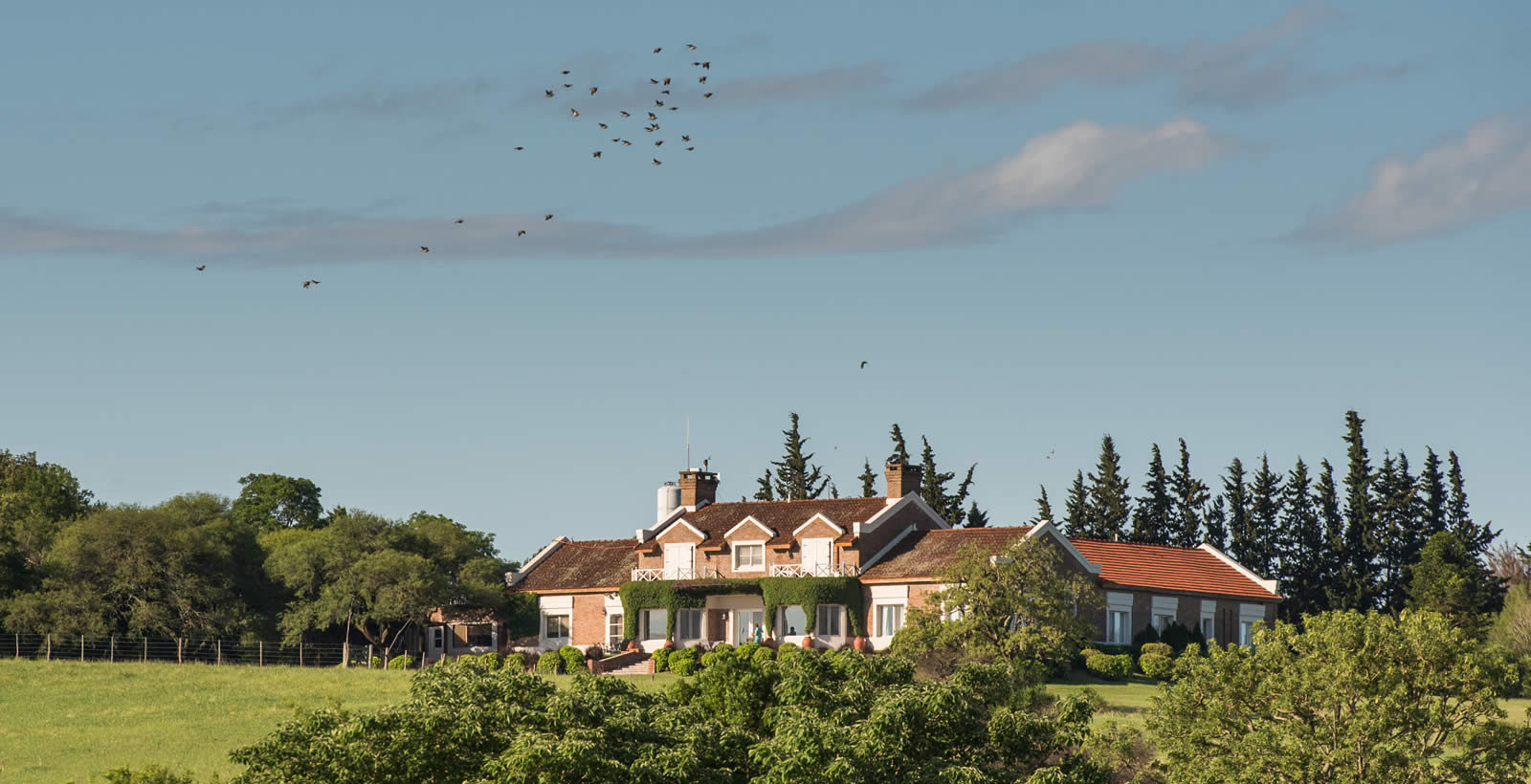 los-ombues-best-dove-hunting-lodge-argentina3
