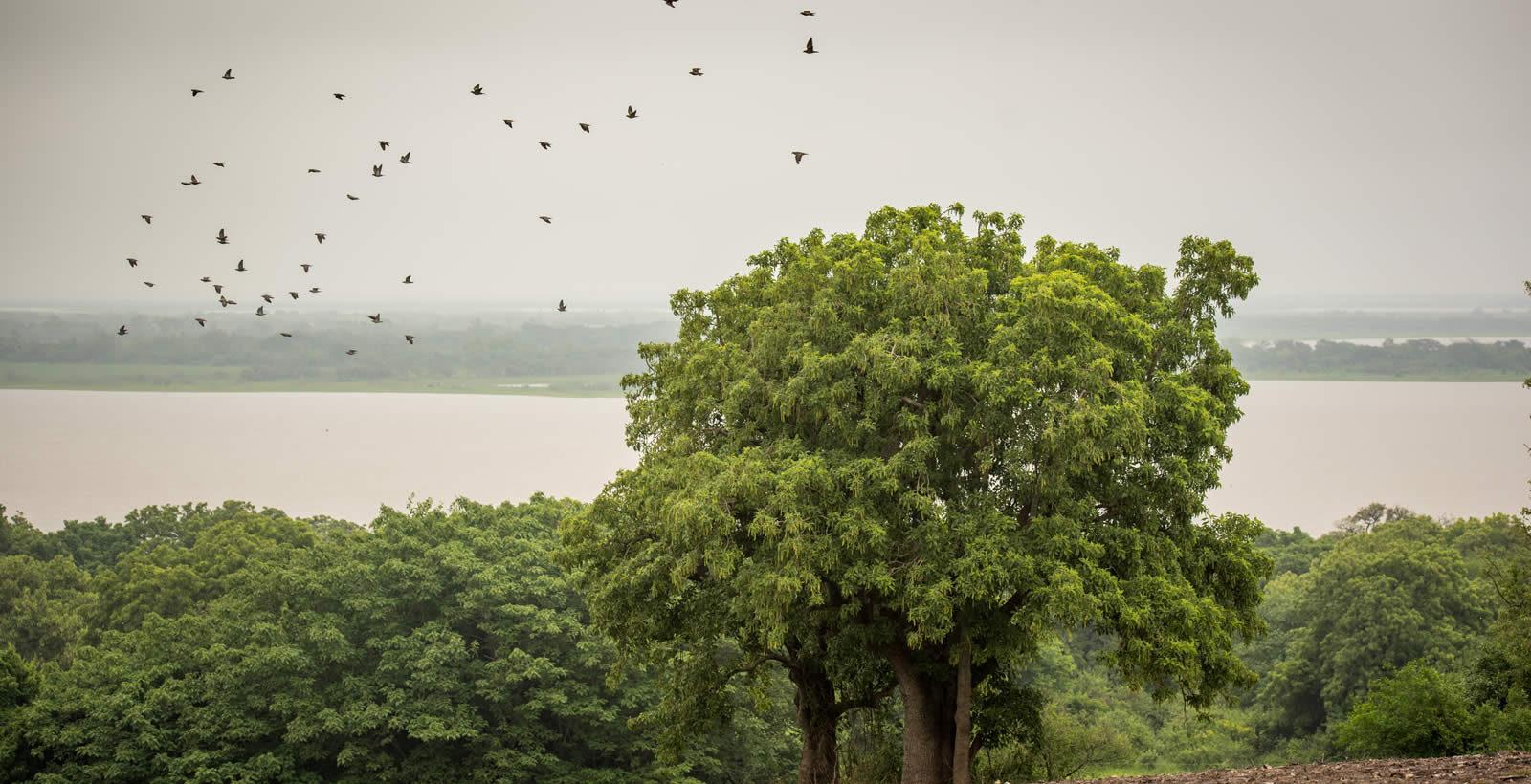 los-ombues-best-dove-hunting-lodge-argentina7